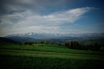 Beautiful green field before mountains covered with snow