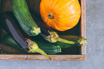 Autumn harvest in a wooden box, pumpkin, green zucchini and eggplant on a gray background, top view