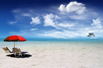 Tropical beach and dolfins