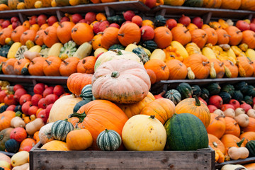 Kürbis-Pyramide im Herbst zu Halloween - Pumpkin pyramid in autumn for Halloween