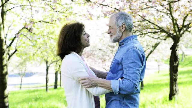 Beautiful senior couple in love outside in spring nature kissing.
