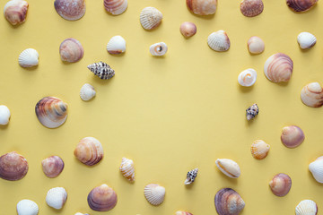 Background with frame of seashells on yellow. Top view with copy space.