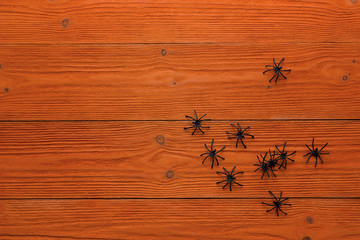 Decorative black spiders on orange wooden boards. Copy space.