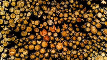 Runde Holzscheite gestapelt