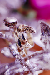 Golden rings hang on silver branches