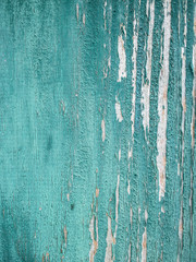 Old grunge green wood texture for background.