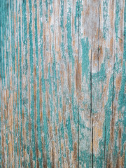 Old grunge green wood texture for background.