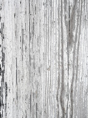 Old grunge white wood texture for background.