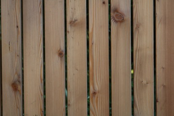 Holz Textur