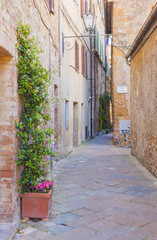 Fototapeta na wymiar Narrow street with flowers in the old Italian village
