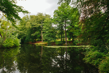Lake in deep forest.