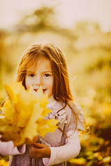 Pretty little girl with red hair plays with fallen leaves