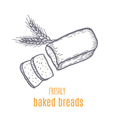 Hand drawn decorative bread bakery . Vector Illustration.