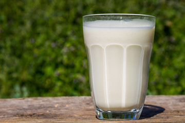 Glass of milk on wooden table with nature background