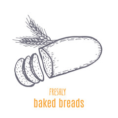 Hand drawn decorative bread bakery . Vector Illustration.