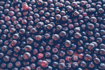 Black Chokeberry Ashberry background, top view