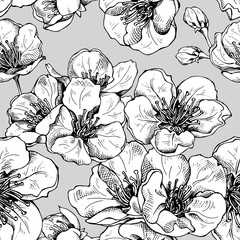 Seamless pattern with image of a cherry flowers on gray background. Vector illustration.