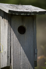 Close Up of a Birdhouse