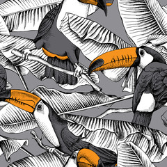Seamless pattern with image of a Toucan and Banana leaves. Vector illustration.