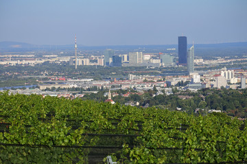 Viñedos en Viena
