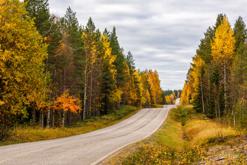 Fototapeta na wymiar Road in autumn colorful forest, Lapland, Finland