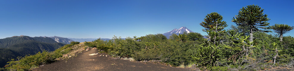 Hiking trail at Conguillio NP, Chile © Henner Damke