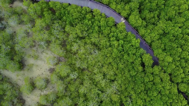 4k aerial View of mangrove forest in pranburi national park, prachuap khiri khan province, Thailand