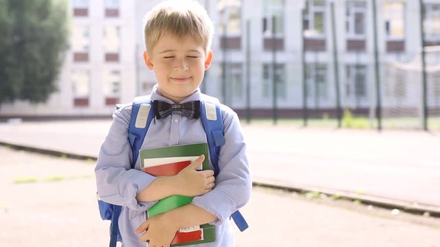 Smiling  schoolboy of an elementary school.  Funny child on the background of school.