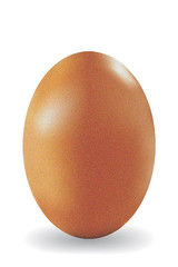 Egg