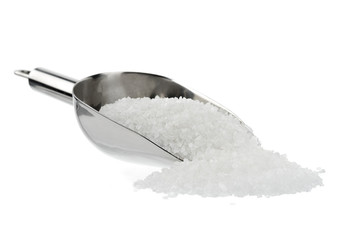 Shovel of Sea Salt 