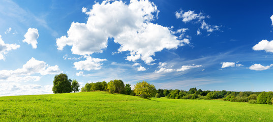Green field panorama and blue sky. Panoramic view to grass on the hill on sunny summer day