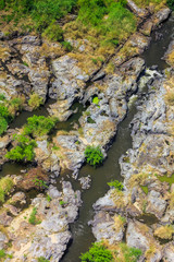 Aerial view of the river in forest