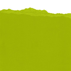 Obraz premium green paper torn
