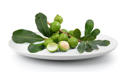 fresh macadamia nut in plate isolated on a white background