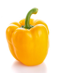 Ripe yellow pepper isolated