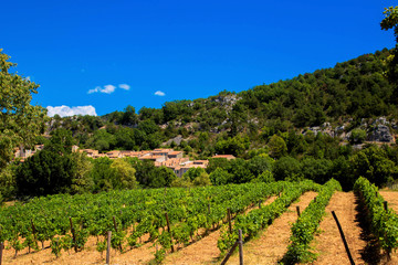 Fototapeta na wymiar Vineyards, village and mountains.