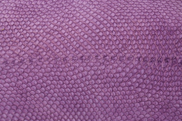 Exotic purple  leather texture background surface. Closeup