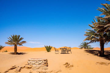 Fototapeta na wymiar Sahara Still Life