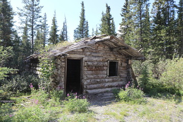 Einsame Blockh&uuml;tte in Alaska