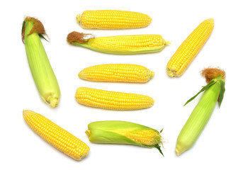 Corn with skin or without skin isolated on white background. A collection of corn. Top view, flat