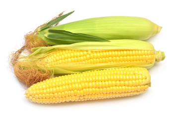 Corn with skin or without skin isolated on white background. A collection of corn. Top view, flat