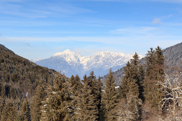 Mountain panorama and trees with snow in winter in Stubai Alps, Austria