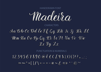 Handdrawn Vector Script font.  Brush style textured calligraphy cursive typeface. 