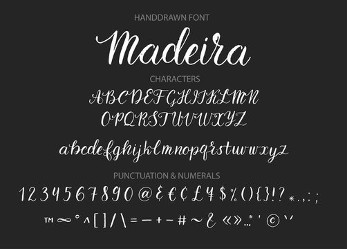 Handdrawn Vector Script font.  Brush style textured calligraphy cursive typeface. 
