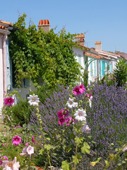 Maisons typiques de l'île d'Aix