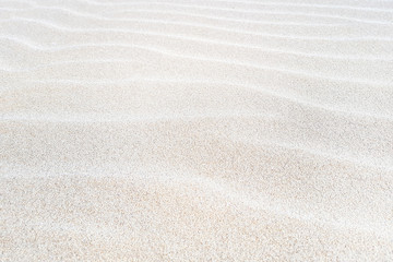 Sand on the beach as a background.