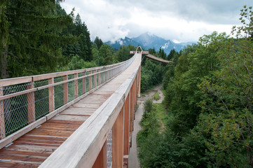 Fototapeta na wymiar Wooden bridge