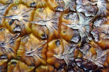 Ananas, Detail
