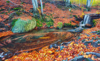 Autumn creek woods with yellow trees foliage and rocks in forest