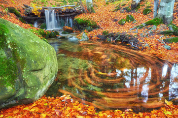 autumn stream in the forest, gold autumn European landscape